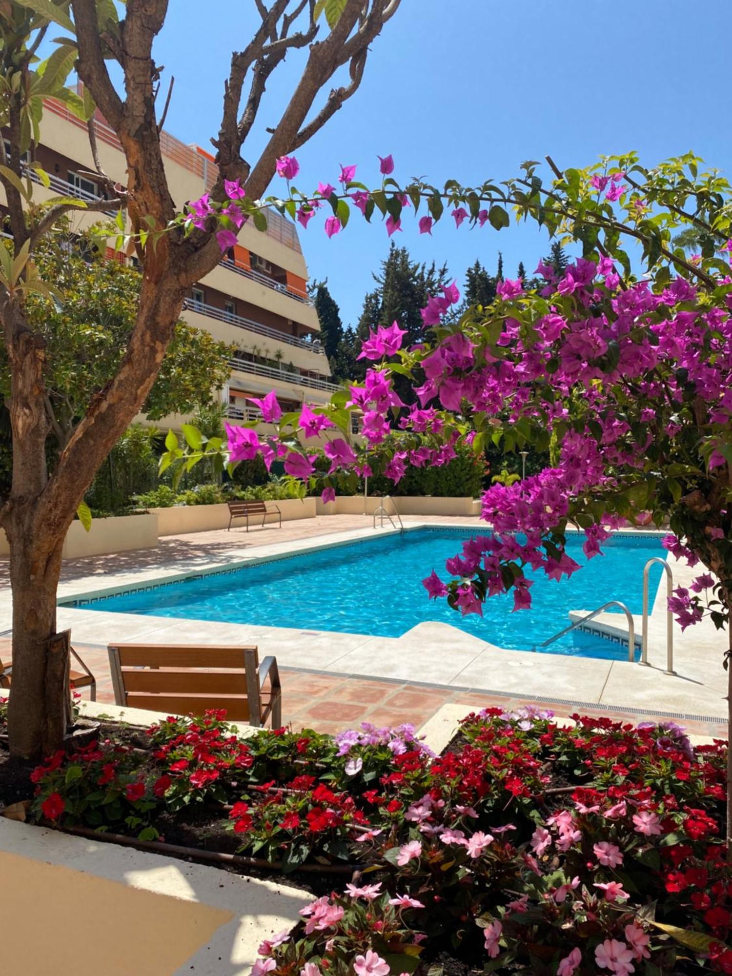Apartamento Al Parque Marbella, Cerca De Mar Y Centro De Marbella Ngoại thất bức ảnh